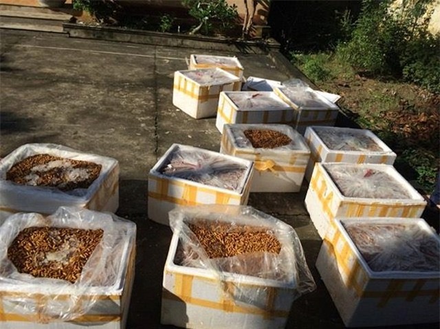 Nhộng tằm, ngậm nước, bà nội trợ, ngâm nước, dân nhậu, món ăn, quán ăn, nhà hàng, hóa chất