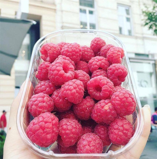 Cuộc sống sang chảnh của Minh Hằng - Ảnh 12.