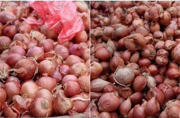 dân việt, gia vị tàu, bốn loại gia vị tàu, dân việt ăn gia vị tàu, hành khô trung quốc, hành tây trung quốc, tỏi trung quốc, gừng trung quốc