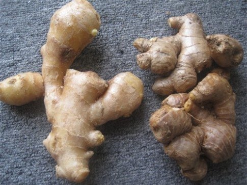 dân việt, gia vị tàu, bốn loại gia vị tàu, dân việt ăn gia vị tàu, hành khô trung quốc, hành tây trung quốc, tỏi trung quốc, gừng trung quốc