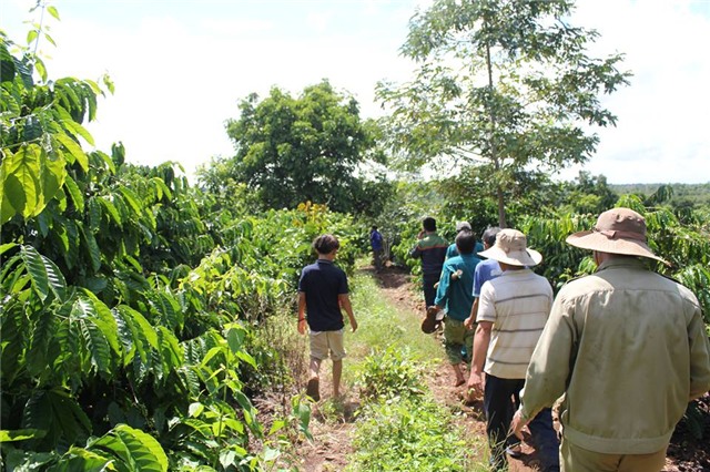 phat hien tung tich nghi can hiep giet be 7 tuoi hinh anh 1