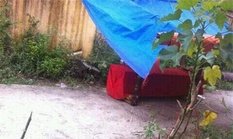 Cao Bằng, giết người, thi thể bị chặt khúc