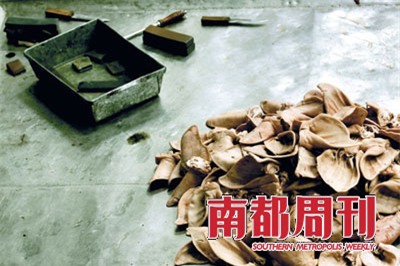 Kinh hoàng tình trạng dùng chất phụ gia trong xúc xích ở TQ - Ảnh 2.