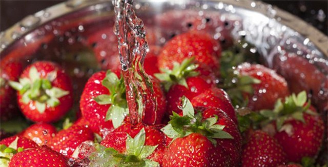 GS Nguyễn Lân Dũng 