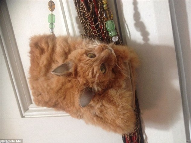 túi xách, túi xách làm từ mèo nguyên con, thú nhồi bông,đấu giá xe công