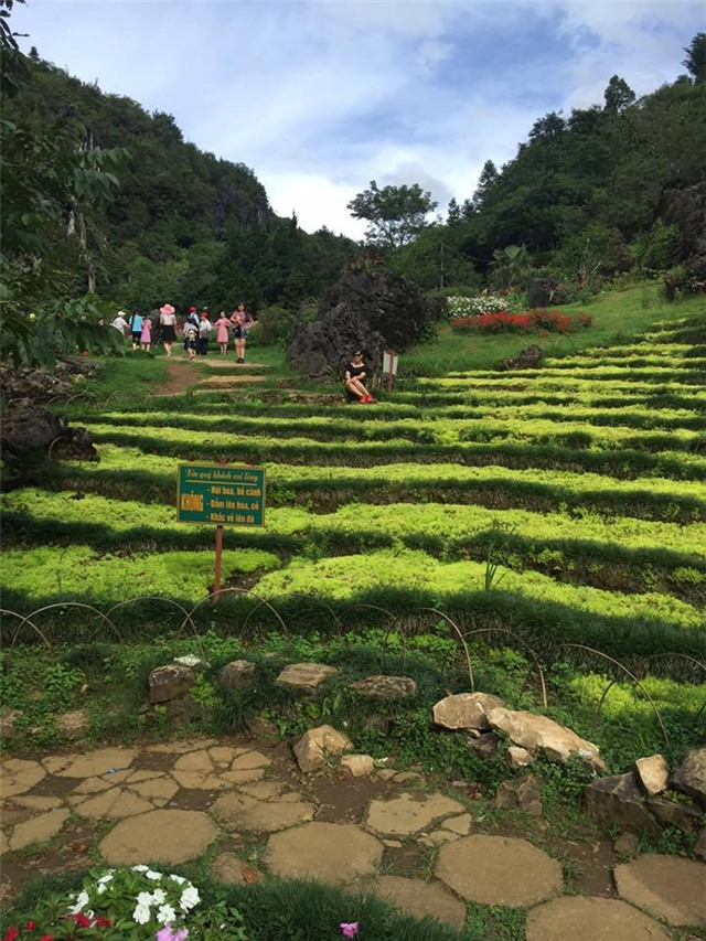 Sa Pa, du lịch Sa Pa, du lịch tiết kiệm, cáp treo Fansipan