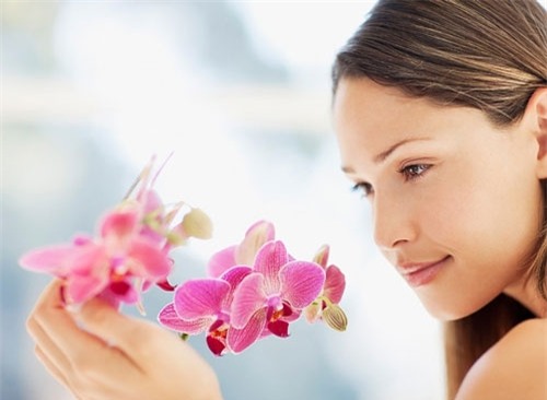 chuyện phòng the, chuyện tình dục, vùng kín, chuyện ấy