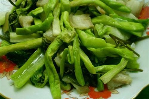 bèo tây, lục bình, món ăn từ lục bình, cách chế biến bèo tây, dân giàu hà thành, dân hà nội ăn bèo tây