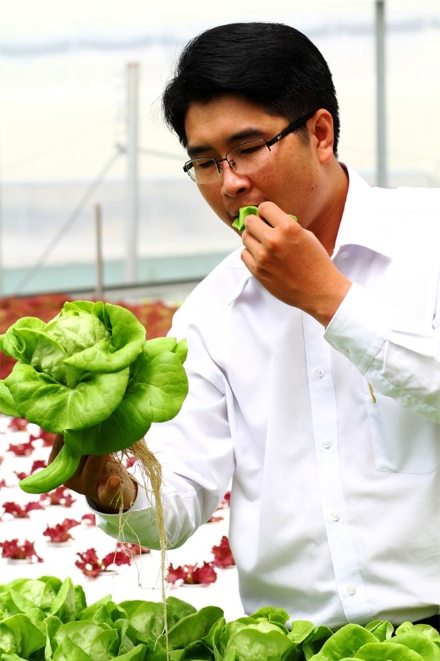 Rau thuy canh thu hoach 15 vu moi nam, an khong can rua hinh anh 14