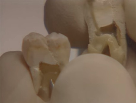 Truy tim ke giet ban gai roi phi tang xac hinh anh 2