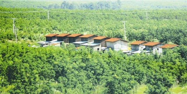 Tái cơ cấu nợ, HAG, ngân hàng, chủ nợ, bầu Đức, vườn cao su biên giới, Trung Quốc, Hoàng Anh Gia Lai, đại gia, vỡ nợ