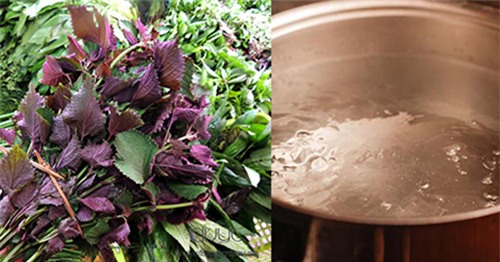 chi voi 1 noi nuoc tia to, da den bam sinh cung bat tone nhanh chong - 2