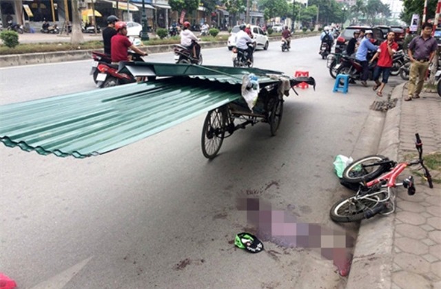 nhung cai chet oan uong vi chuong ngai vat tren duong hinh anh 1