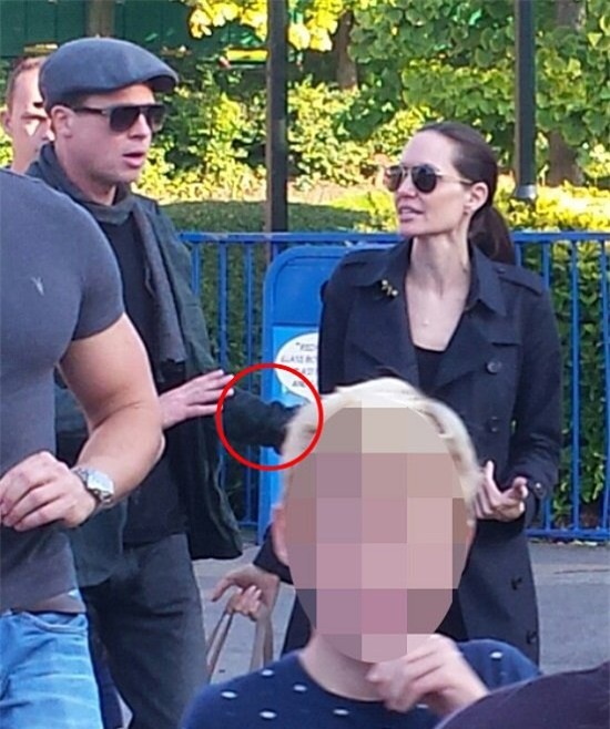 Angelina Jolie, Brad Pitt, Marion Cotillard, Angelina Jolie và Brad Pitt ly hôn