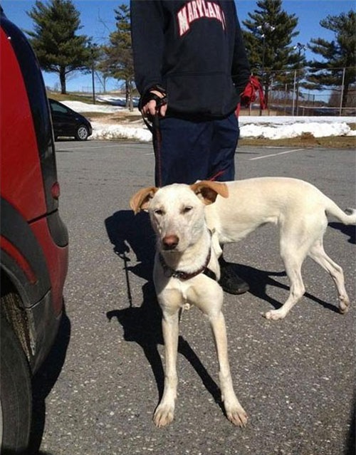 xa stress voi nhung buc anh hai huoc kho do ngay cuoi tuan - 5