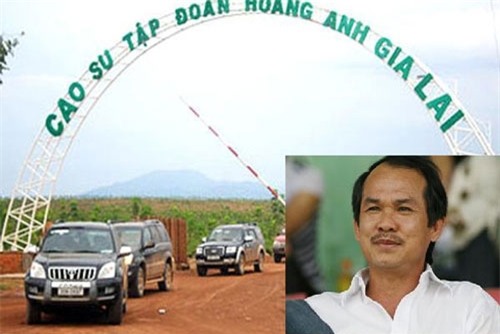 đại gia sa cơ, Đoàn Nguyên, Đức, Bầu Đức, Hoàng Anh Gia Lai, HAGL Agrico, thua lỗ, nợ nần, bong bóng kinh tế, bong bóng bất động sản