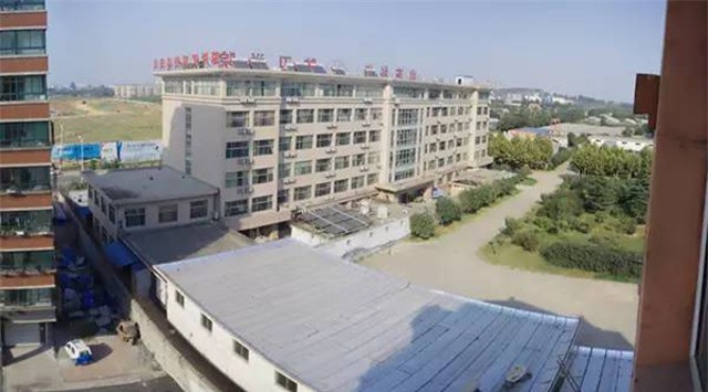 Bị bắt vào trại cai nghiện Internet, con gái 16 tuổi nhốt và bỏ đói mẹ tới chết - Ảnh 1.