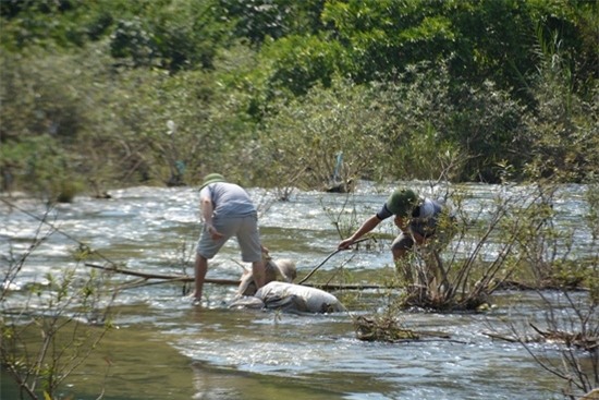 Giết người phân xác ở Cao Bằng: Nghi can đã bị bắt