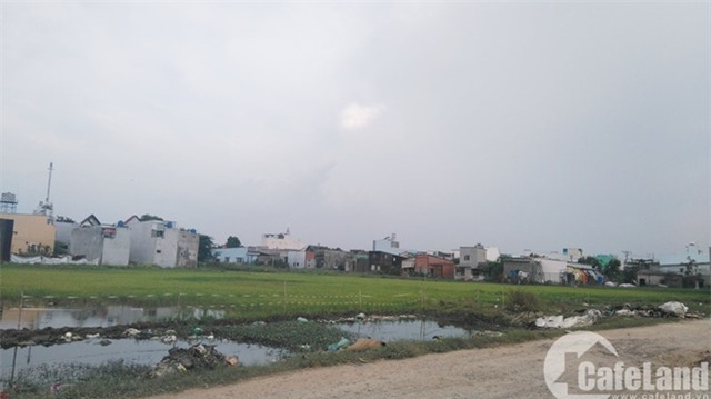 nhu cầu, nhà ở, số vốn, cò đất, mua đất, xây nhà không phép, mua nhà, Bình Chánh, nhà đất