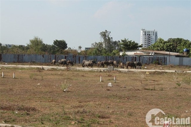 nhu cầu, nhà ở, số vốn, cò đất, mua đất, xây nhà không phép, mua nhà, Bình Chánh, nhà đất