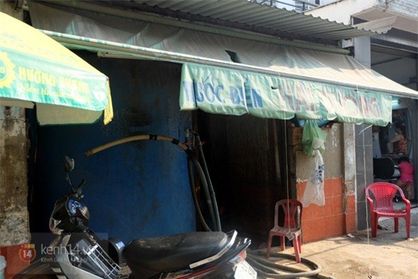 nghề lạ, mưu sinh, có một không hai, Việt Nam, thu nhập, săn gián đêm, ngồi cho muỗi đốt, bồng heo thuê, buôn lá tre, bán nước biển