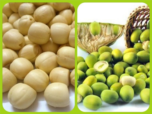 Image result for hạt sen