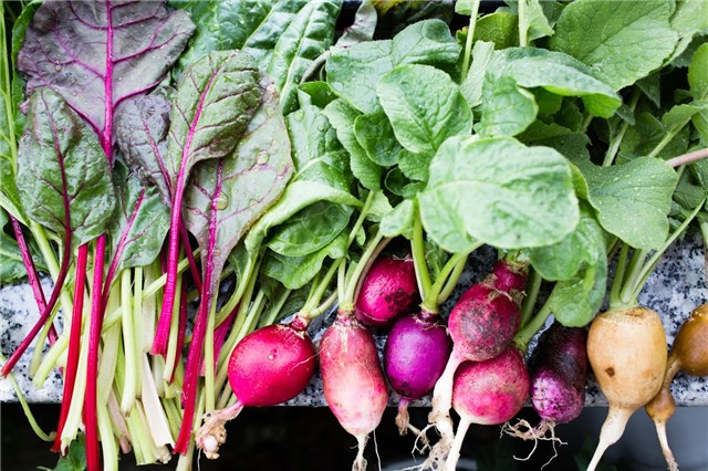 trồng rau, trồng rau sạch, trồng rau sạch trên sân thượng, vườn rau treo ngược, tháp trồng rau