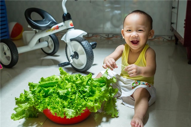 trồng rau, trồng rau sạch, trồng rau sạch trên sân thượng, vườn rau treo ngược, tháp trồng rau