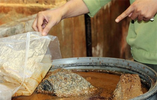 Hãi hùng với 5.000 kg mắm cá tra có dòi bò lúc nhúc - 1