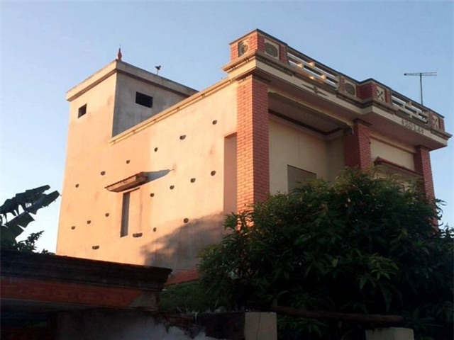 Xay nha lau cho chim yen o, thu tram trieu moi nam hinh anh 1