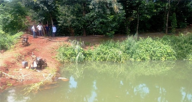 gia lai : bo om hai con sinh doi nhay ao tu tu hinh anh 1