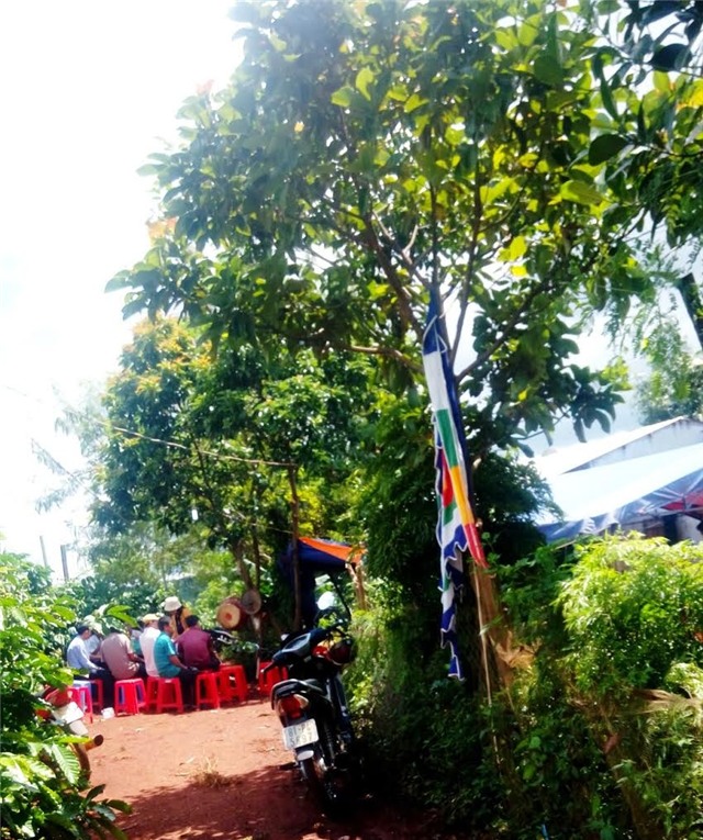 gia lai : bo om hai con sinh doi nhay ao tu tu hinh anh 2