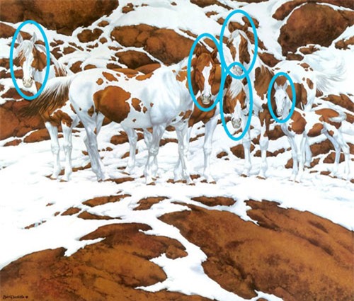 trong buc hinh co rat nhieu ngua, nhung ban co du tinh mat de tim ra tat ca? - 1