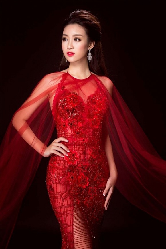 Đỗ Mỹ Linh sau khi đăng quang  6