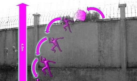 Ảnh minh họa (nguồn Internet)