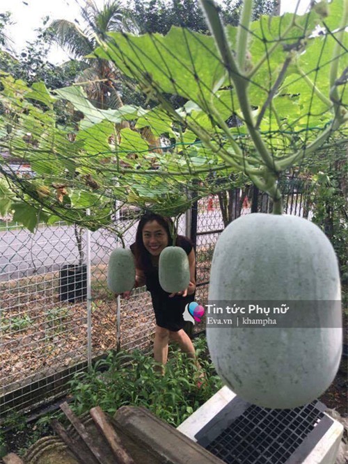 me viet mach nho cach trong bi dao trong thung sai triu qua - 1