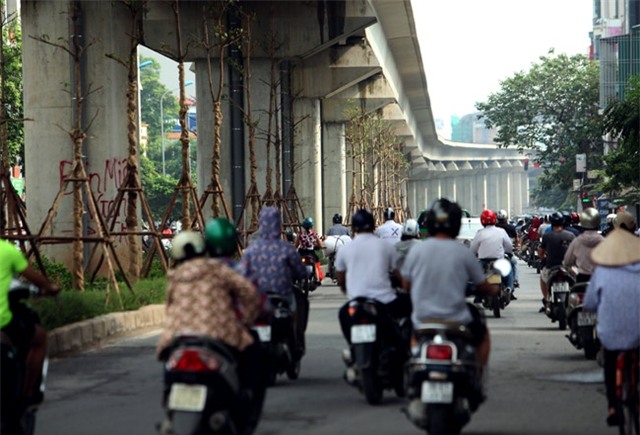 vi sao ha noi trong cay xanh duoi gam duong sat? hinh anh 3
