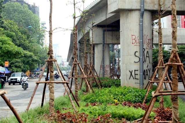 vi sao ha noi trong cay xanh duoi gam duong sat? hinh anh 7