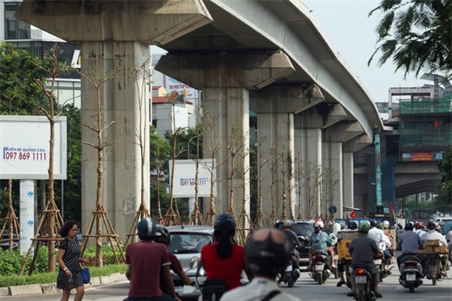 vi sao ha noi trong cay xanh duoi gam duong sat? hinh anh 9