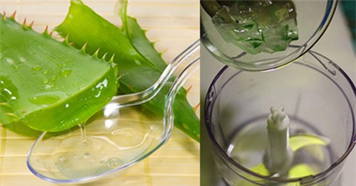 da tim ra cach chua rung toc mua hanh hao giao mua - 3