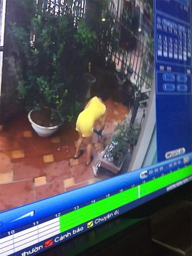 Xem camera, chủ nhà tá hỏa khi biết người giúp việc nhẫn tâm giết chết 2 chú chó Poodle của mình - Ảnh 3.