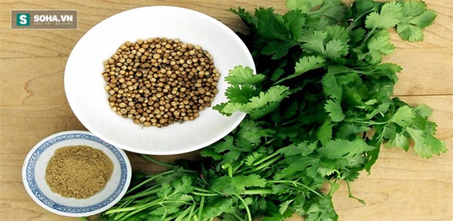 Người dân Ấn Độ tôn vinh rau mùi là thảo dược kỳ diệu - Ảnh 1.