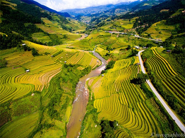 mù cang chải