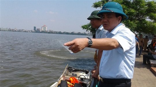 cá chết ở Hồ Tây, cá chết, cá chết Hồ Tây, nGUYỄN đỨC Chung