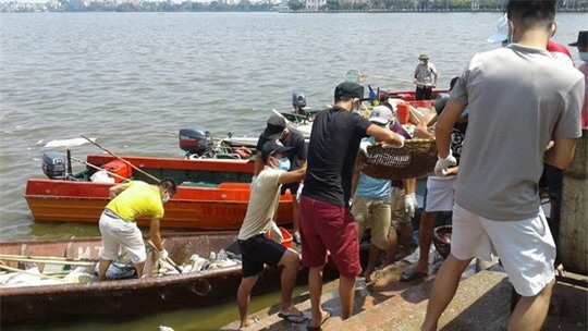 cá chết ở Hồ Tây, cá chết, cá chết Hồ Tây, nGUYỄN đỨC Chung