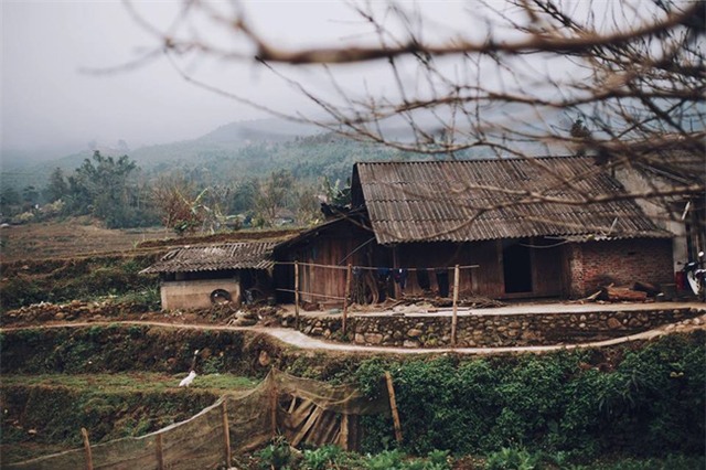 - Ảnh 20.