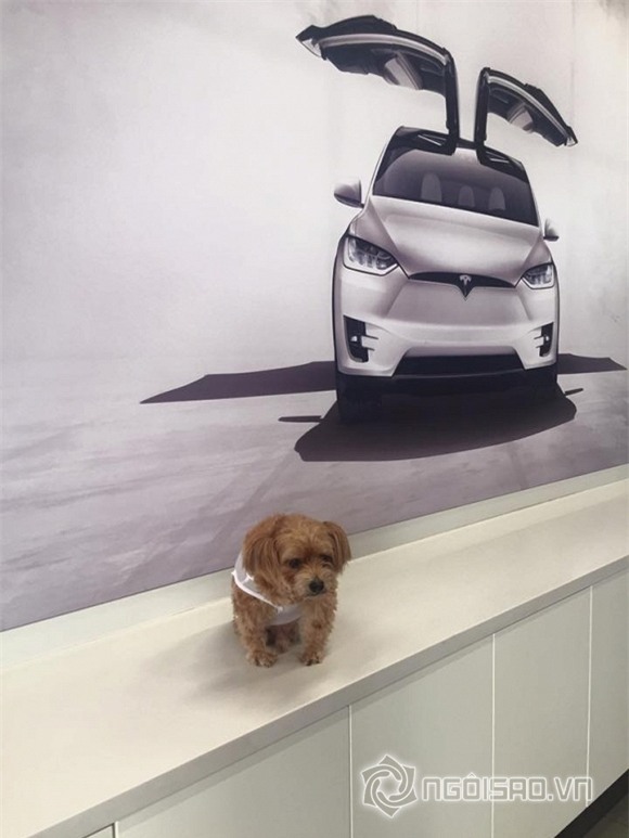 Mẹ vợ Đan Trường tặng quà khủng cho cháu  4