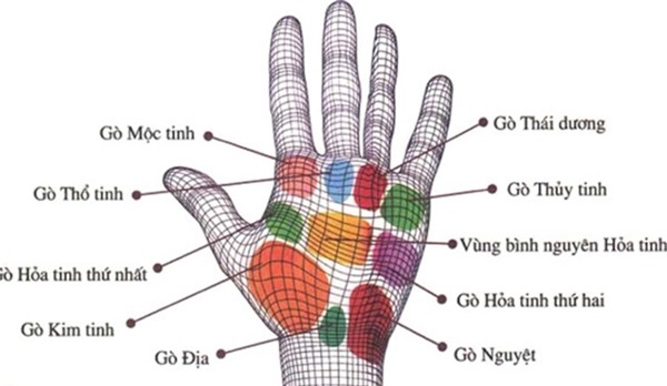 not-ruoi-moc-giua-ban-tay-phu-qui-ca-doi-ma-khong-hay1