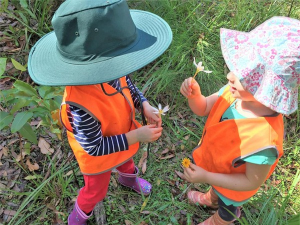 Trường mẫu giáo ngoài trời