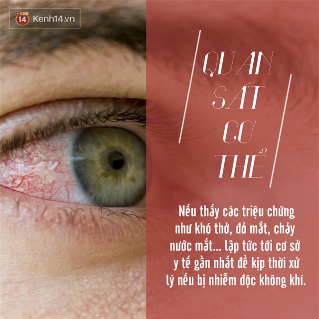 Phải làm gì để bảo vệ sức khỏe khi sương mù quang hóa dày đặc cả thành phố? - Ảnh 6.
